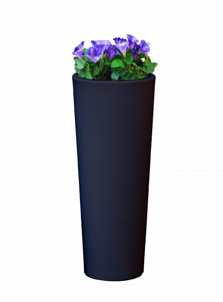 Gartenlampe Ficus 80 Solar Intelligente Technik